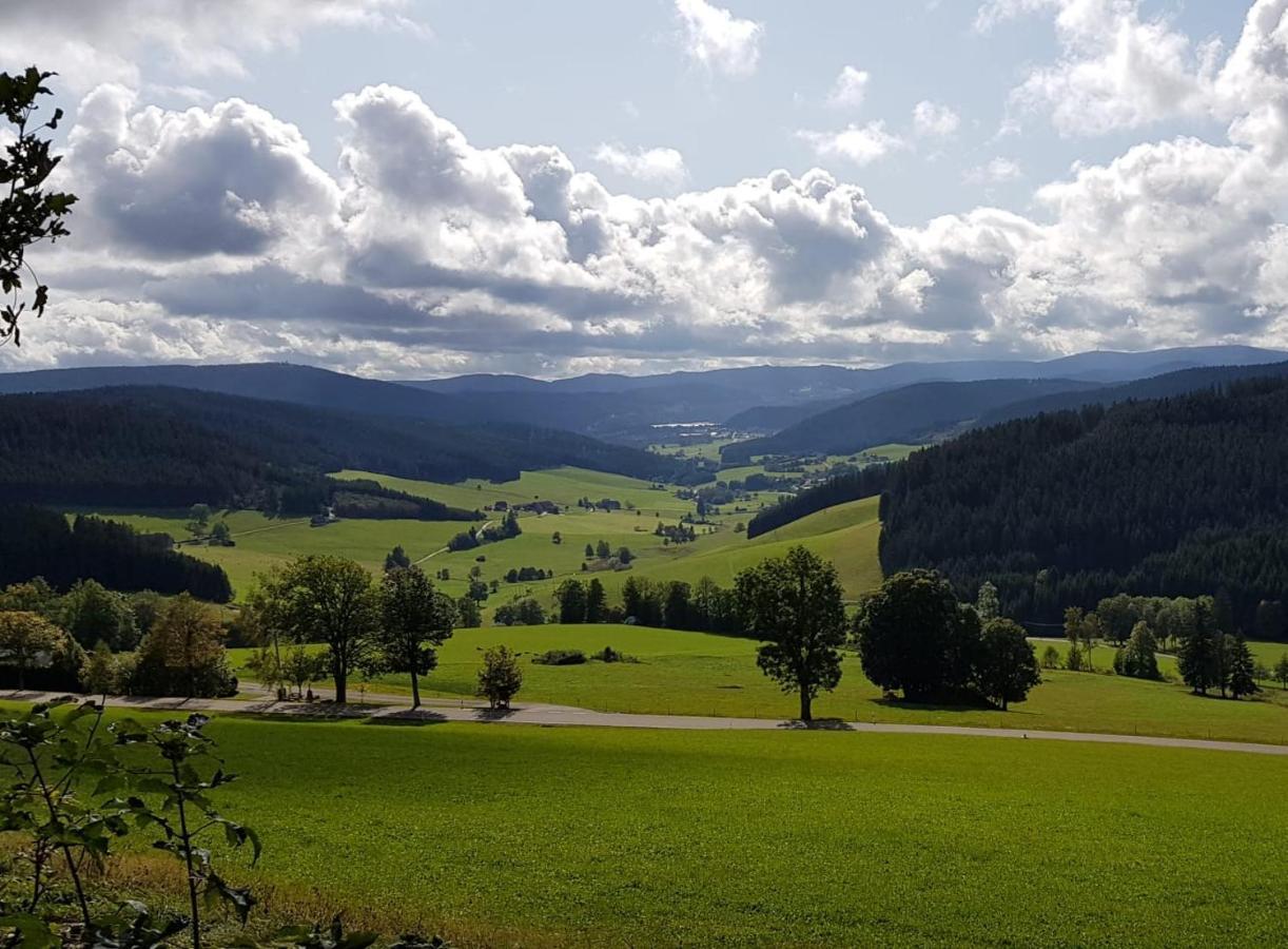 Hotel Zum Loewen - Unteres Wirtshaus Titisee-Neustadt Kültér fotó
