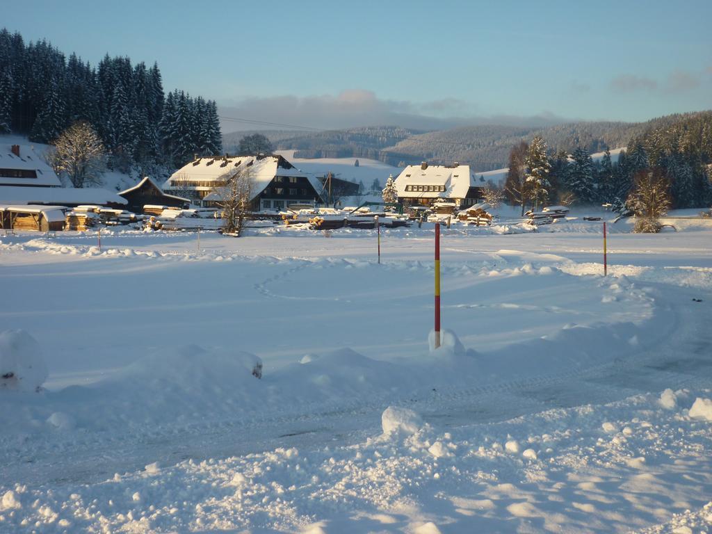 Hotel Zum Loewen - Unteres Wirtshaus Titisee-Neustadt Kültér fotó
