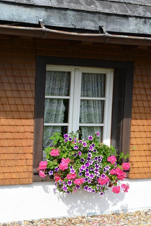 Hotel Zum Loewen - Unteres Wirtshaus Titisee-Neustadt Kültér fotó
